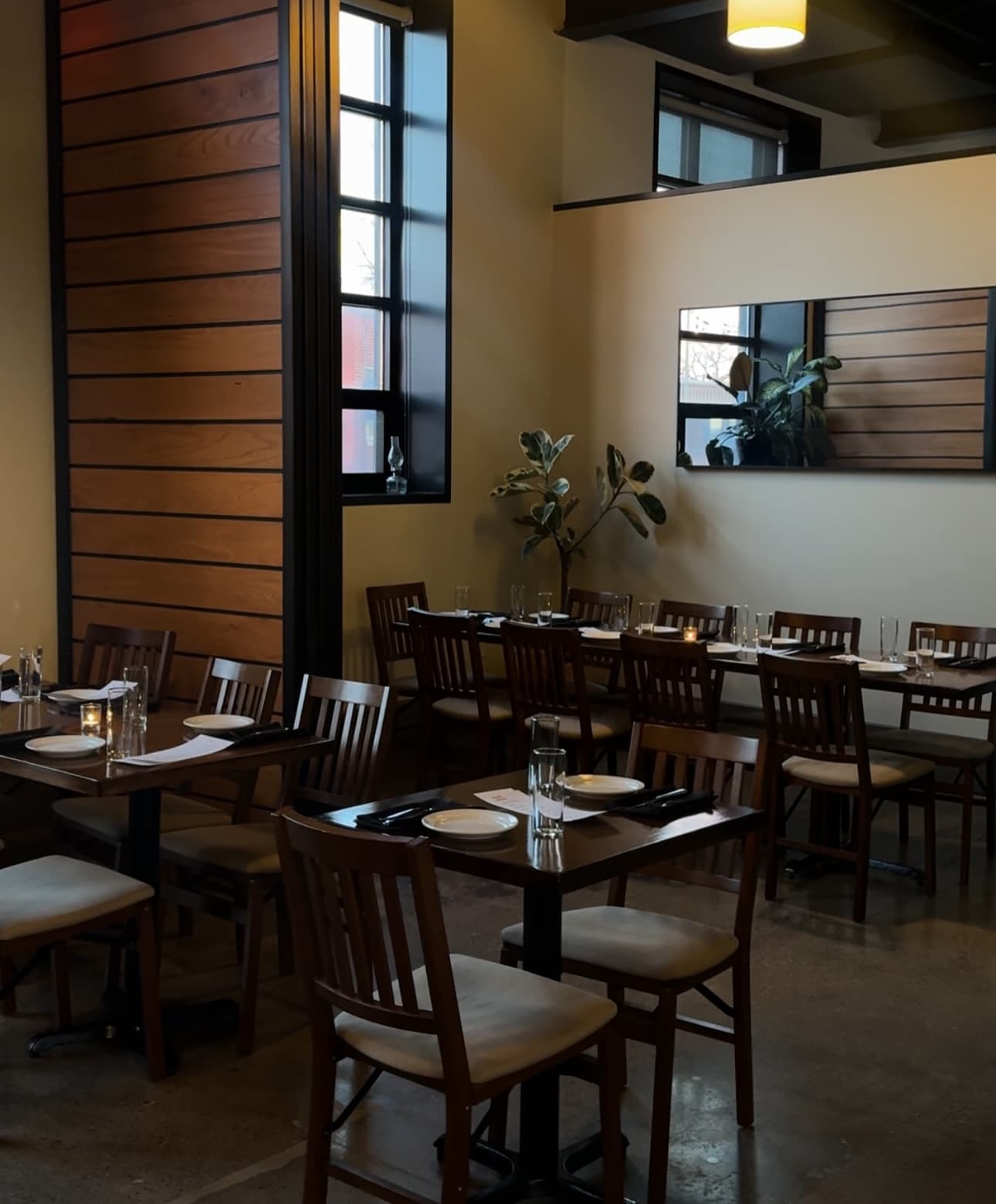 Cozy dining area with wooden tables, matching chairs, warm lighting, and a few potted plants along the wall.